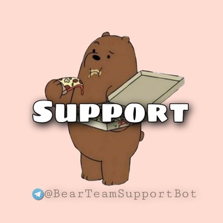 Bear Team Support