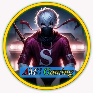 AMS Gaming