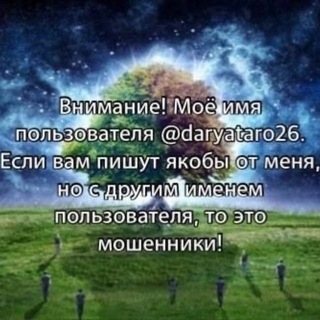Дарья Таро