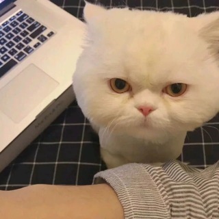 七天担保负责人~~~~招财八