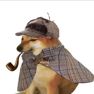 PIPE DOG | $PIPEDOG ON RH