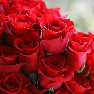 Rose Premium Signals