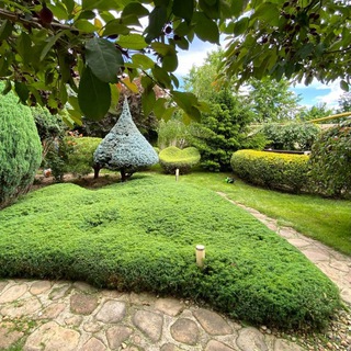 Astahov_Topiary