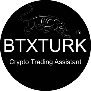 Crypto Trading Asistant