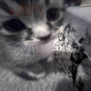 †ʟ૦ઽ૯ʀXD†