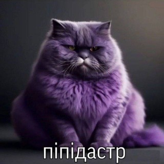 Предложка новостей
