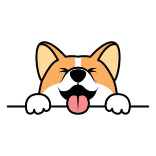 [EN] Corgidoge Official - Binance smartchain