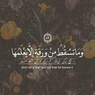 Amir mohammad