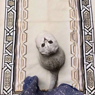 Жүрөктөн чыккан сөздөр🫀