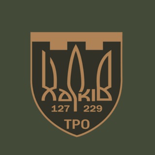 229 окремий батальйон 127 окремої бригади ТрО ЗСУ