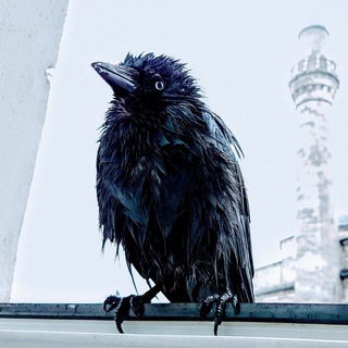 akry.photo