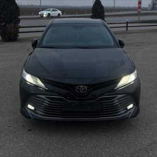 Руслан 241🦈
