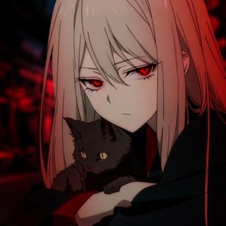 CARTEL #SOHBET