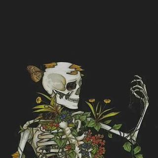 Philippe Wagner 🌚
