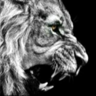 🦁 LioNiZeH Chat 🗣