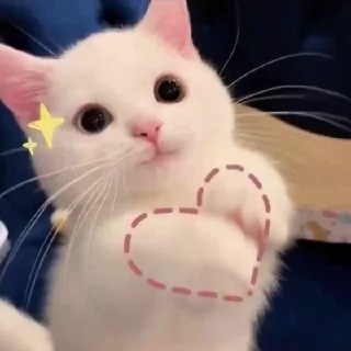 @laohaomei 老号妹 防失联必关注🥇