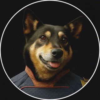 The Dogs