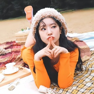Info sonikfancam