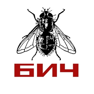 БИЧ