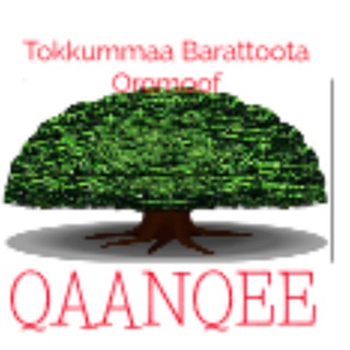 QAANQEE