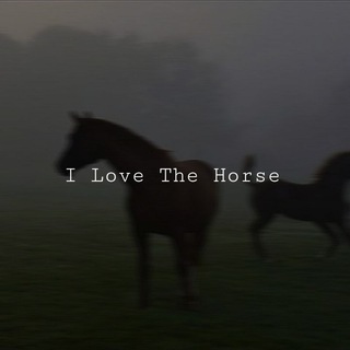 I Love The Horse