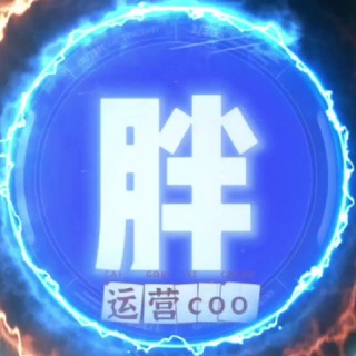 小胖的COO (Dwen Marketing )