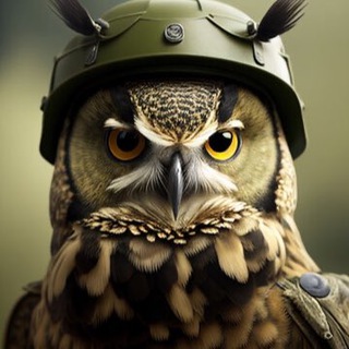 Armed Writer