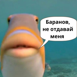 Гони Рыбу
