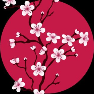 Sakuramichi桜道🌸