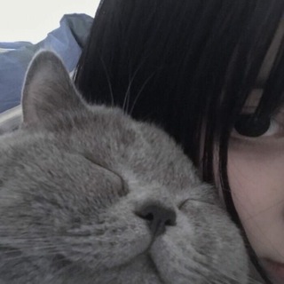 коточатик