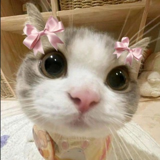 🎐