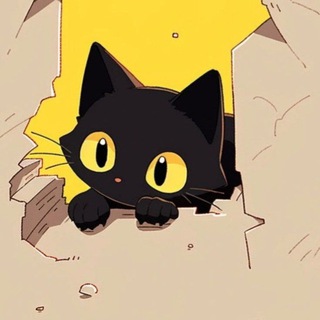 猫七七机器人