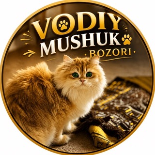 🐾 Vodiy Mushuk Bozori🐾