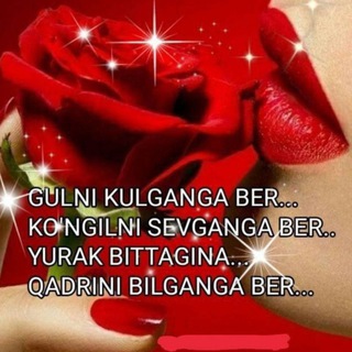 ❤️🌲YOSHI KATTA QADRDONLAR🌲❤️