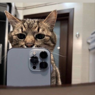 INSTAGRAM VEDIOLAR