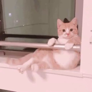 Ellie 多宝游戏 月休6