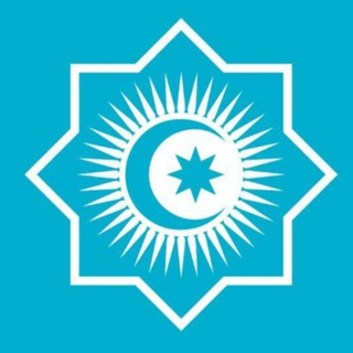 Organization of Turkic States