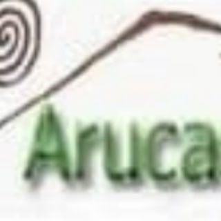 Jorge Guerra - Canal Actualidad y Opiniones