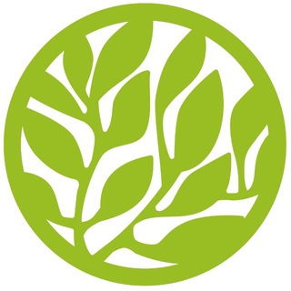Elasto Beauty | клиника косметологии