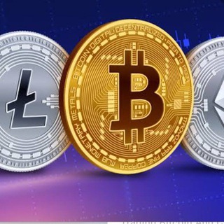 INVESTMENT