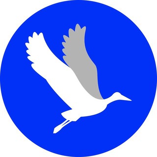 FreeBlock.Dev - WEB3 & AI