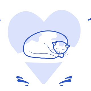 Координатор «Ковчега»