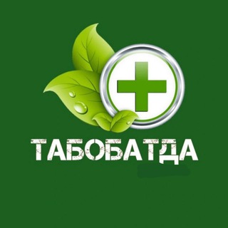 TABOBAT SHIFO