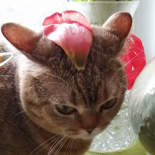 Полина