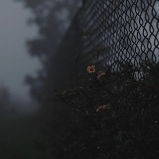 Hossein
