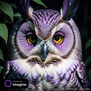 🦉şeytan baykuş جغد شیطون🦉