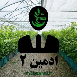 ادمین 2میاندواب نهال
