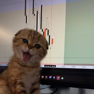 Ⲱⲉⲣ Ⲁⲕⲉ 🦁 24/7