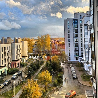 НОВО-МОЛОКОВО Товары и услуги