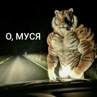 Настасья